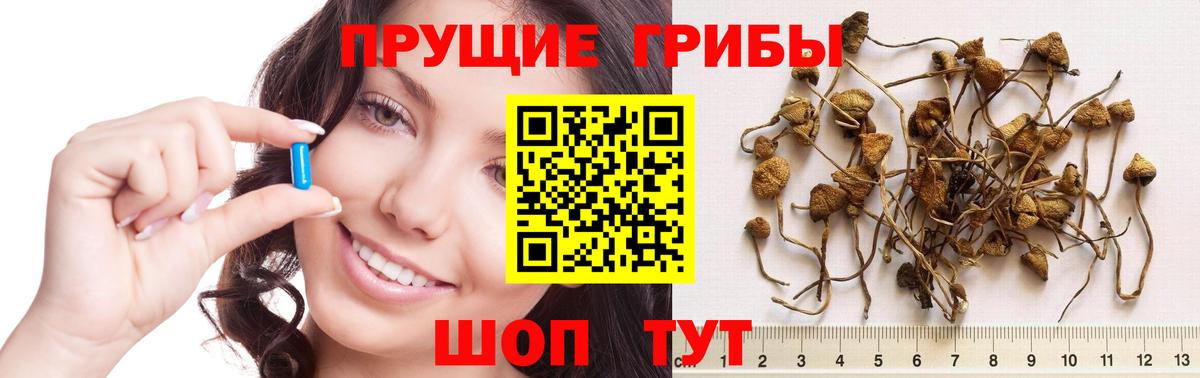 Галлюциногенные грибы мухоморы Тайшет